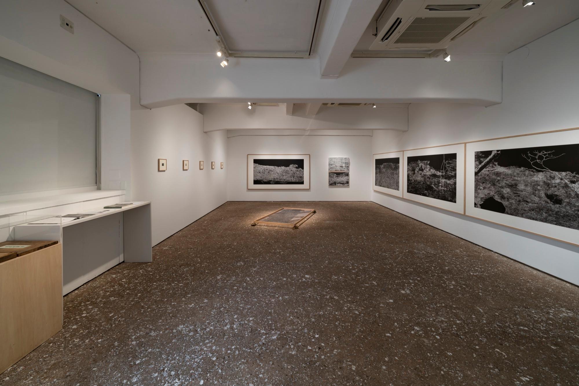 「TOKAS-Emerging 2026:『私の生命を旅する/形象を追放する/風景を見つめる』」(トーキョーアーツアンドスペース本郷、2026) Photo by Kato Ken Courtesy of Tokyo Arts and Space