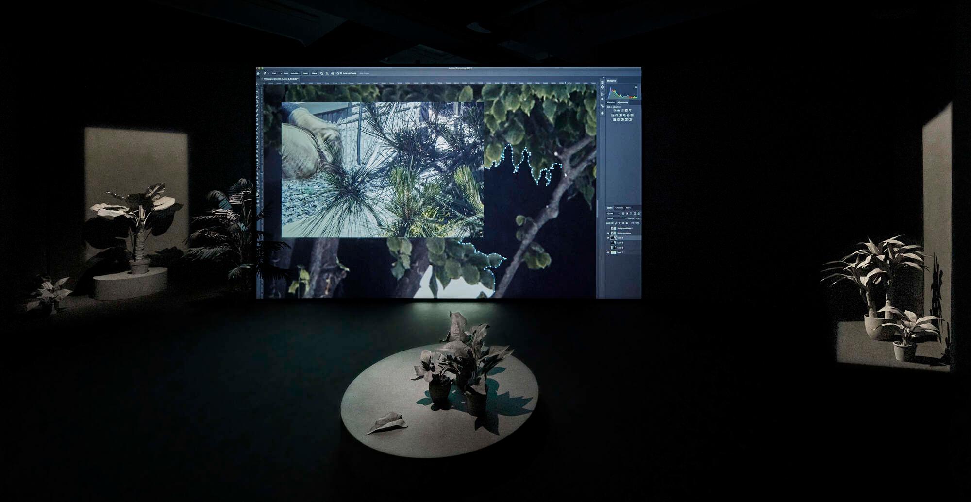 《If I mention a tree, what color do you think it should be?》 2022 「TOKAS Project Vol. 5『ひもとく』」(トーキョーアーツアンドスペース本郷、2022) Photo by Takahashi Kenji Courtesy of Tokyo Arts and Space