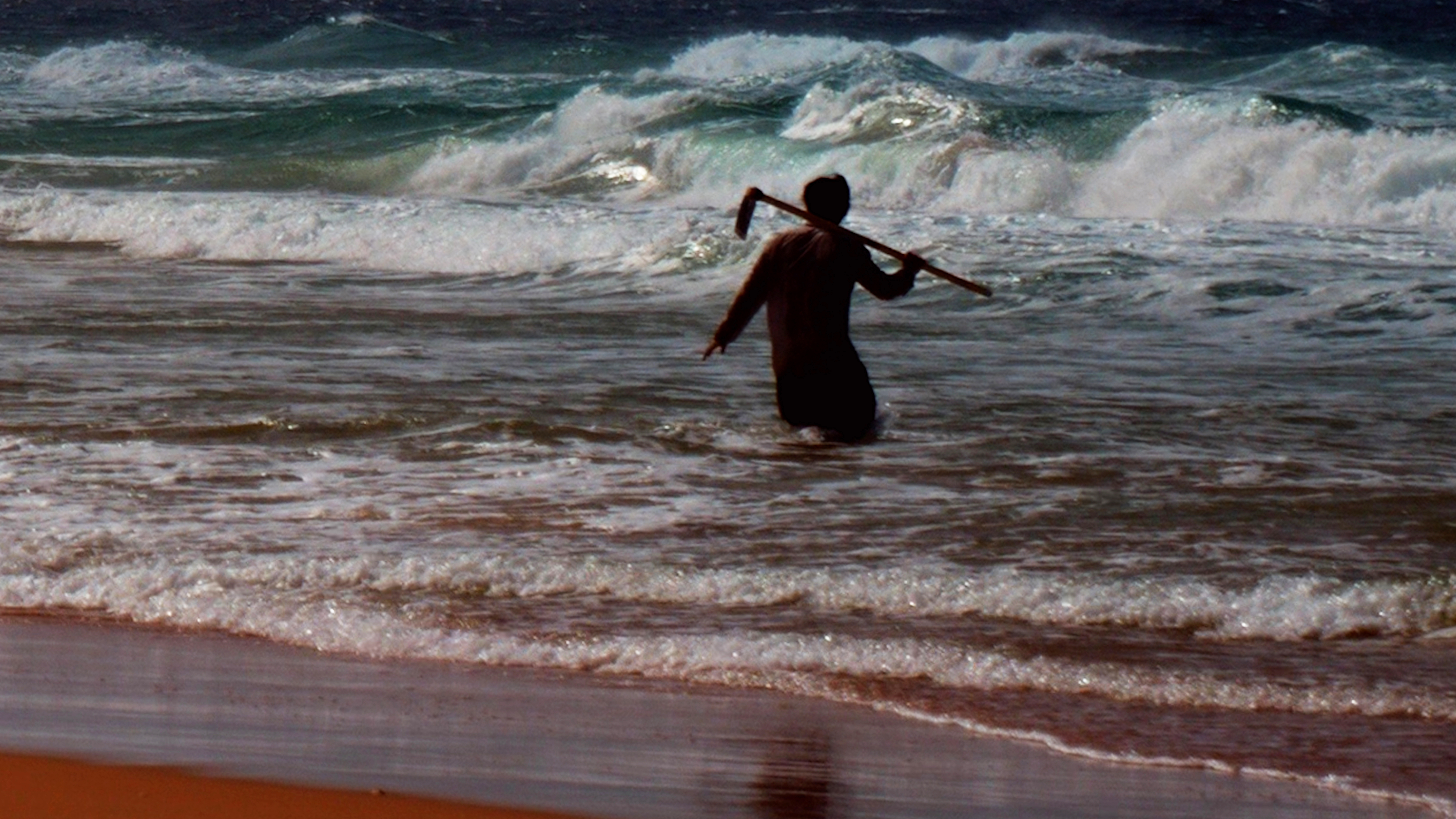 Cultivating the Waves, 2024