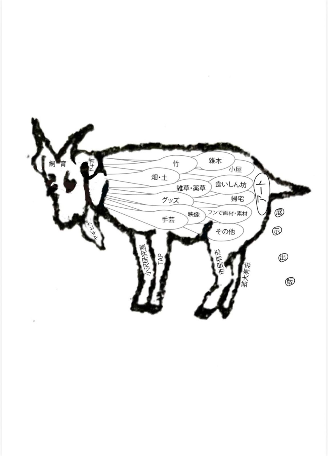 Goat's Eyes